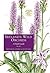 Ireland's Wild Orchids: A Field Guide