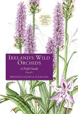 Ireland's Wild Orchids: A Field Guide (Hardcover)