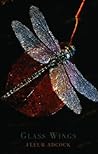 Glass Wings
