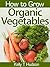 How to Grow Organic Vegetables: Your Guide To Growing Vegetables in Your Organic Garden