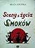 Sceny z życia smoków