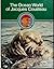 The Ocean World of Jacques ...