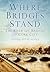 Where Bridges Stand