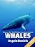 Whales - Discover the World's Most Amazing Animals Series