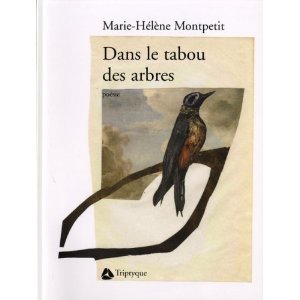 Dans le tabou des arbres