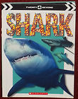 Shark (Twenty4sevens)