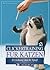 Clickertraining Für Katzen Erziehung Macht Spass