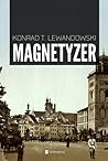 Magnetyzer by Konrad T. Lewandowski