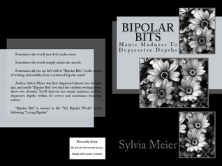 Bipolar Bits: Manic Madness To Depressive Depths (My Bipolar World)