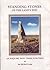 Standing Stones of the Land's End by Ian Cooke