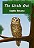 The Little Owl by Sophia DeLuna