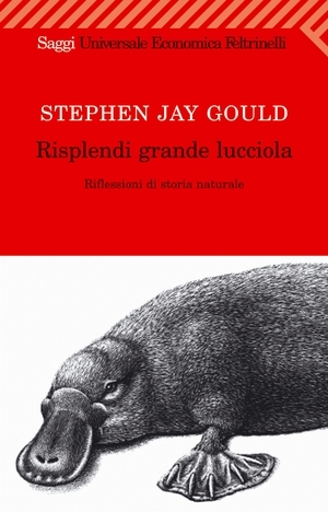 Risplendi grande lucciola (Paperback)