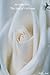 The Seal of Oblivion (The White Rose Book #1)