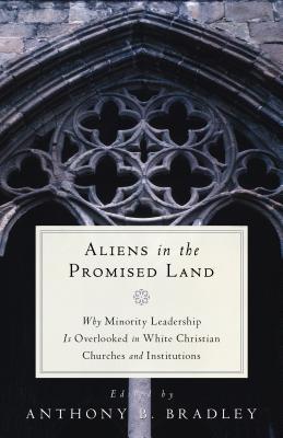 Aliens in the Promised Land: Why Minority Leadership Is Overlooked in White Christian Churches and Institutions (Paperback)