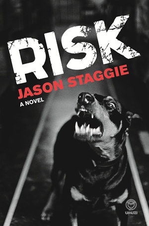 Risk (Paperback)