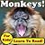 Monkeys!