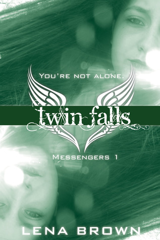 Twin Falls (Paperback)