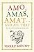 Amo, Amas, Amat...and All T...