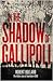 In the Shadow of Gallipoli:...