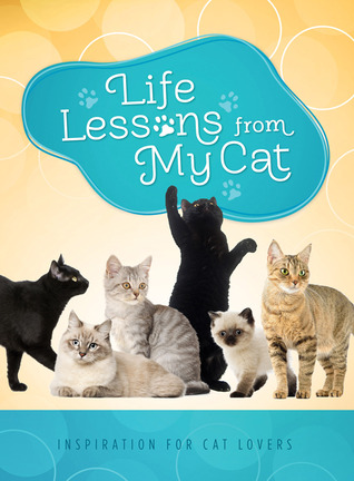 Life Lessons from My Cat: Inspiration for Cat Lovers