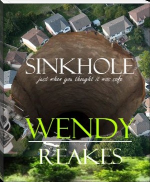 Sinkhole: Just when you thought it was safe