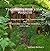 The Country Witch's Diary M...