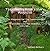 The Country Witch's Diary Magazine Imbolc Edition by Andrea Dean Van Scoyoc