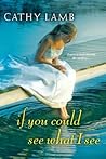 Book cover for If You Could See What I See