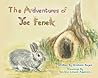 The Adventures of Joe Fenek by Graham Bayes
