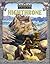 Cities Of Fantasy: Highthro...