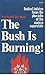 The Bush Is Burning: Radical Judaism Faces the Pharaohs of the Modern Superstate