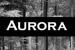 Aurora- Book 2 in the Dreamspace series