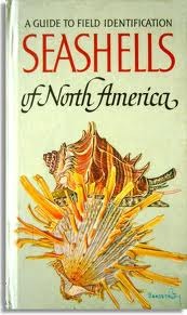 Seashells of North America: A Guide to Field Identification