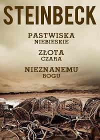 Pastwiska Niebieskie. Złota Czara. Nieznanemu Bogu (Unknown Binding)