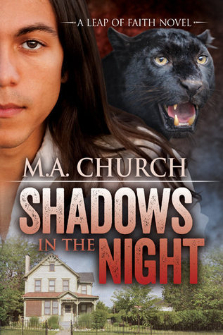 Shadows in the Night (Leap of Faith, #1)
