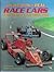 The Big Book Of Real Race Cars