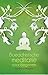 Boeddhistische meditatie voor beginners by Samdhong Rinpoche