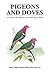 Pigeons and Doves: A Guide to the Pigeons and Doves of the World