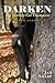 Darken: The Scaredy-Cat Cha...