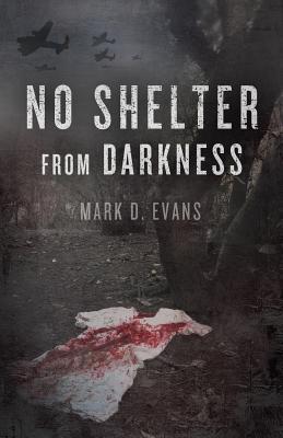No Shelter from Darkness (Paperback)