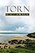 Torn by L C Small