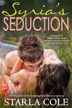 Syria's Seduction (Kindle Edition)