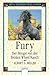 Fury, Der Hengst von der Broken Wheel Ranch (Fury, #1)