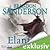 Elantris by Brandon Sanderson