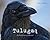Tulugaq: An Oral History of Ravens