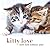 Kitty Love: How Cute Kittens Play