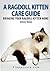 A Ragdoll Kitten Care Guide: Bringing Your Ragdoll Kitten Home