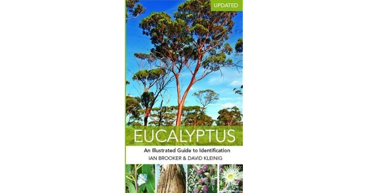Eucalyptus An Illustrated Guide To Identification by Ian Brooker