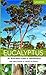 Eucalyptus: an illustrated guide to identification