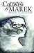 Coldness of Marek (Serengard, #1)